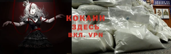 крисы Баксан